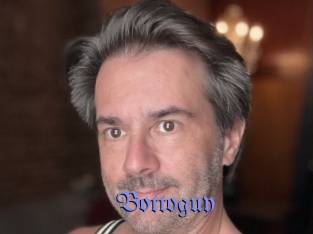 Bottoguy
