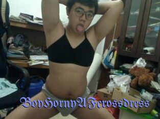 BoyHornyAFcrossdress
