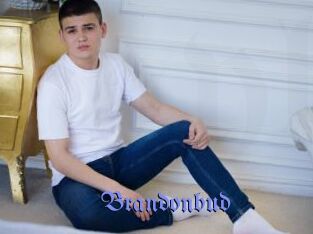 Brandonbud