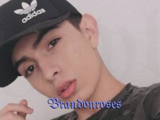 brandonroses Gay Buzz