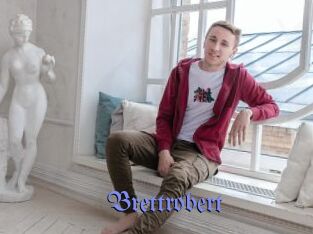 brettrobert Gay Buzz
