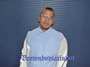 Brownboylatinhot