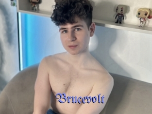 Brucevolt