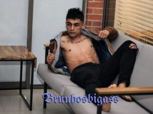 Brunhosbigass