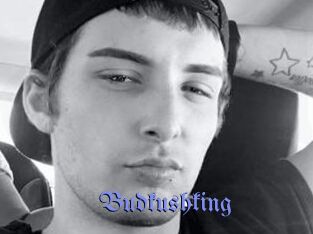 Budkushking