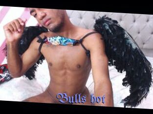 Bulls_hot