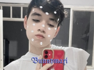 Bunnymaxi