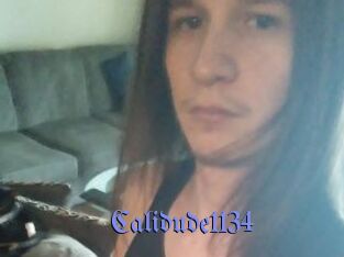 Calidude1134