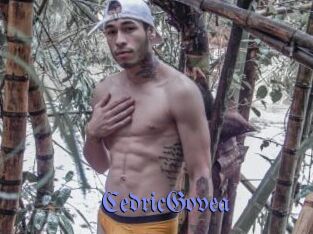 CedricGovea