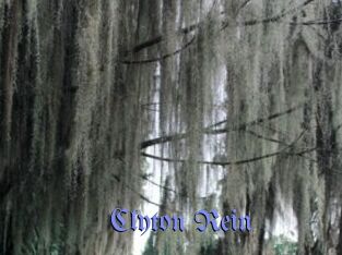Clyton_Rein