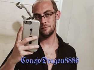 ConejoDragon8886