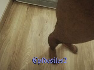 Cpldesiles2