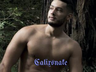Calixsnake