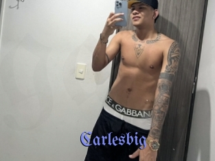 carlesbig Gay Buzz
