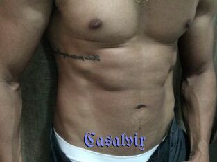 Casalvix