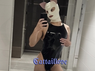 cattaillove Gay Buzz