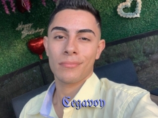 Cegavoy