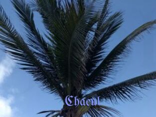 Chacul