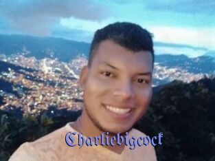 Charliebigcock