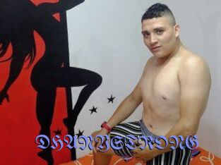 DHANYSTRONG