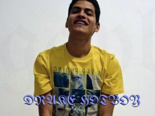DRAKE_HOTBOY