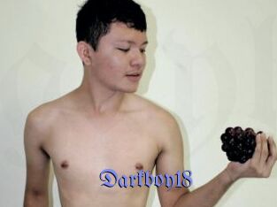 Darkboy18