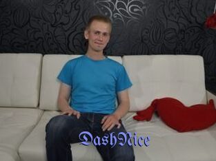 DashNice