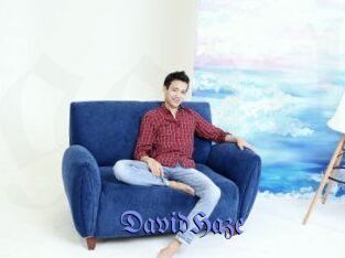 David_Haze