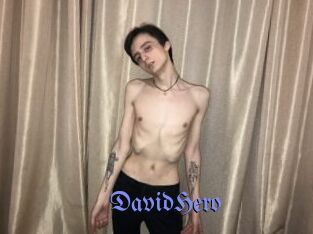 DavidHero