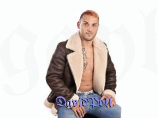 DavidPoll