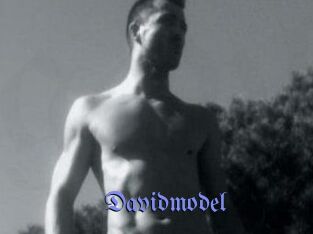 Davidmodel