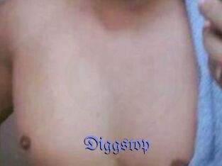 Diggstop