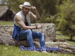 DomiinicSantos