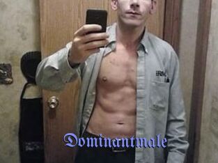 Dominantmale