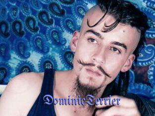 DominicTerrier