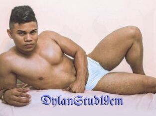DylanStud19cm
