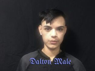 Dalton_Male