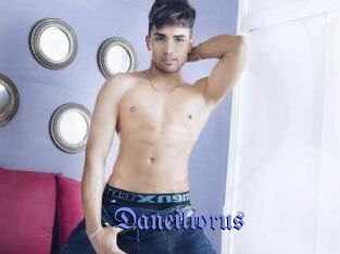 Daneil_torus