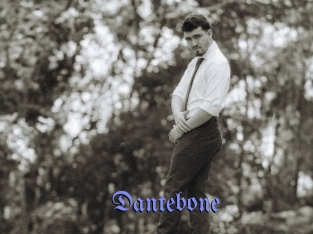 dantebone Gay Buzz
