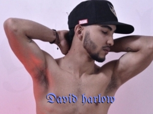 david_harlow Gay Buzz