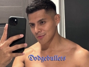 dodgebullets Gay Buzz