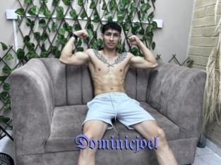 Dominicjoel