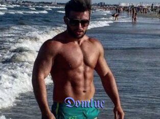 Domluc