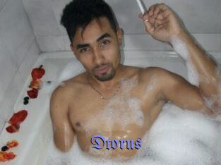 Dtorus