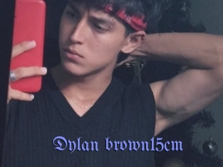 Dylan_brown15cm
