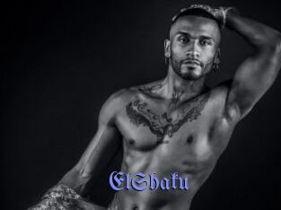 ElShaku Gay Buzz