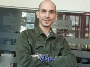 Elgab Gay Buzz