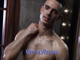 ErvinKozma