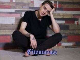 Eitonmouse
