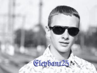 Elephant25